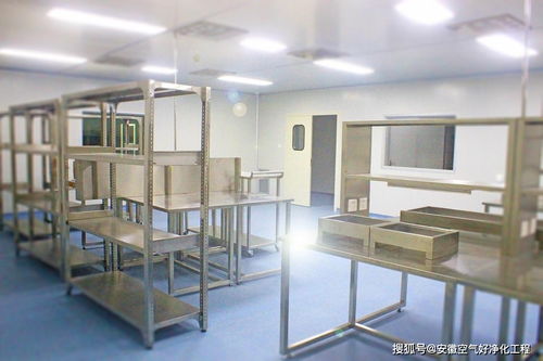 合肥食品无菌净化车间工程项目案例与办公设备配置要点